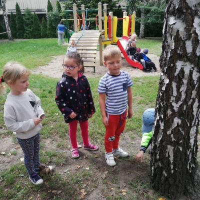 Img 20200907 130603