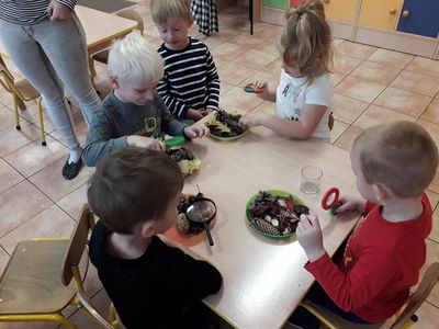 Zdjęcie 9 - KRÓLICZKI POZNAJĄ ŚWIAT WG KONCEPCJI F. FROEBLA