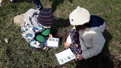 Zdjęcie 6 - 17.03.2021-21.04.2021 r. Ogólnopolski Projekt Edukacyjny Świętujemy! Freblujemy!