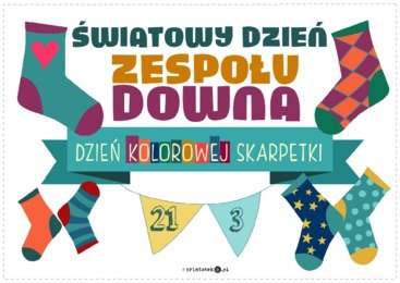 4798 dzien down