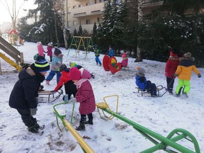 Zdjęcie 8 - Styczeń 2021