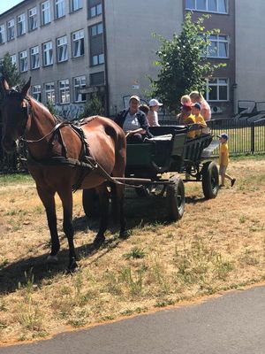 Zdjęcie 12 - RODZINNIE NA RATUNEK, CZYLI RELACJA Z PIKNIKU RODZINNEGO