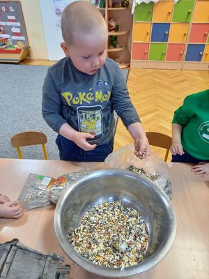 Zdjęcie 11 - Dokarmianie ptaków zimą