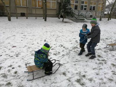 Zdjęcie 2 - TYGRYSKOWE BRYKANIE NA ŚNIEGU
