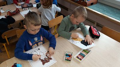 Zdjęcie 17 - Dzień kota