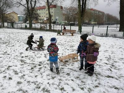 Zdjęcie 1 - TYGRYSKOWE BRYKANIE NA ŚNIEGU