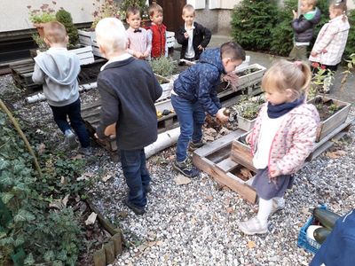 Zdjęcie 8 - JESIENNIE U KRÓLICZKÓW