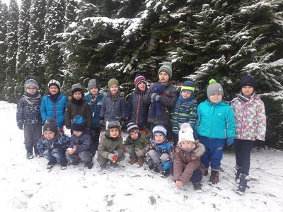 Zdjęcie 16 - TYGRYSKOWE BRYKANIE NA ŚNIEGU