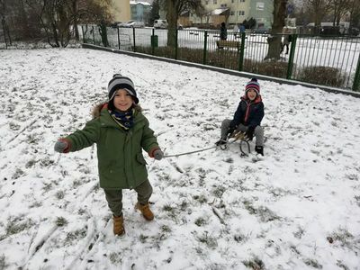 Zdjęcie 5 - TYGRYSKOWE BRYKANIE NA ŚNIEGU