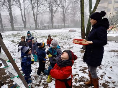 Zdjęcie 4 - Dokarmianie ptaków zimą
