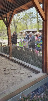 Zdjęcie 4 - Wycieczka do ZOO