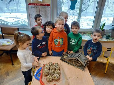 Zdjęcie 13 - Dokarmianie ptaków zimą