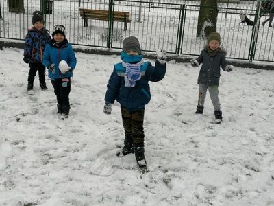 Zdjęcie 11 - TYGRYSKOWE BRYKANIE NA ŚNIEGU