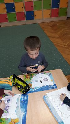 Zdjęcie 35 - Dzień kota