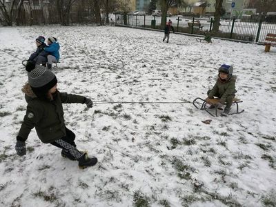 Zdjęcie 7 - TYGRYSKOWE BRYKANIE NA ŚNIEGU